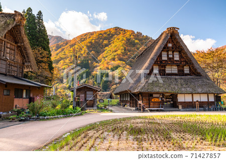 《富山縣》黃葉Su沼合掌祖里村,日本原始風光 《富山縣》黃葉Su沼合掌祖里村,日本原始風光 71427857