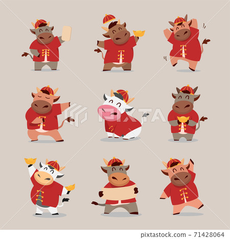 Happy Chinese new year 2021 Ox zodiac. Cute cow character in in red costume and gold money set. 71428064