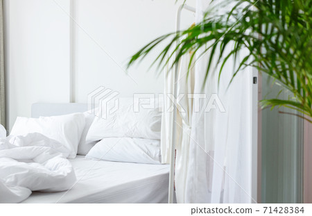 White bed with pillow, blanket Green house plant White bed with pillow, blanket Green house plant 71428384