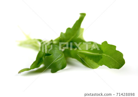 Rucola 71428898
