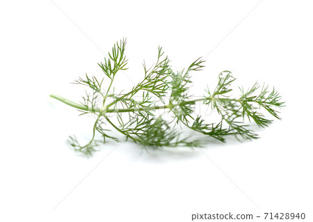 Dill Dill 71428940