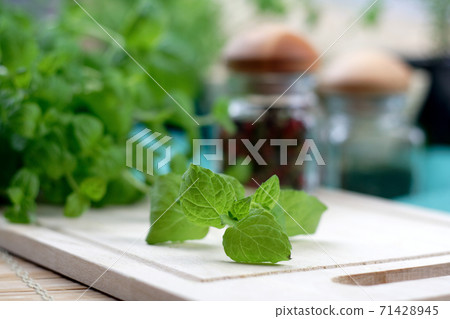 Oregano Oregano 71428945
