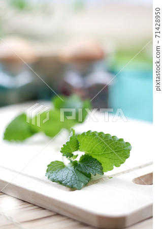 Mint 71428950