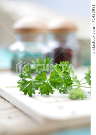 Parsley Parsley 71428951