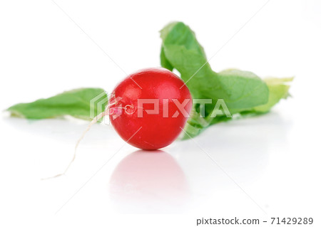 Stock Photo of Still Life Food and Drink in Studio Stock Photo of Still Life Food and Drink in Studio 71429289