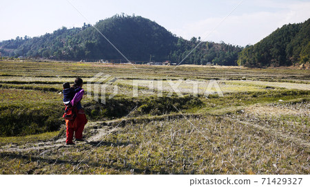 field in Pokhara field in Pokhara 71429327