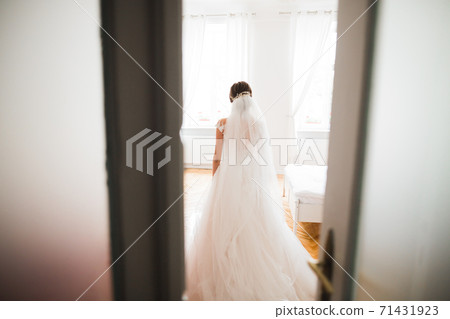 Beautiful bride wearing fashion wedding dress with feathers with luxury delight make-up and hairstyle, studio indoor photo shoot 71431923