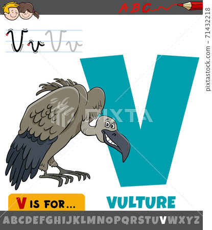 letter V worksheet with cartoon vulture bird... - Stock Illustration  [71432218] - PIXTA