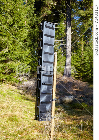 Bark beetle pheromone trap in a mountain forest. 71433117