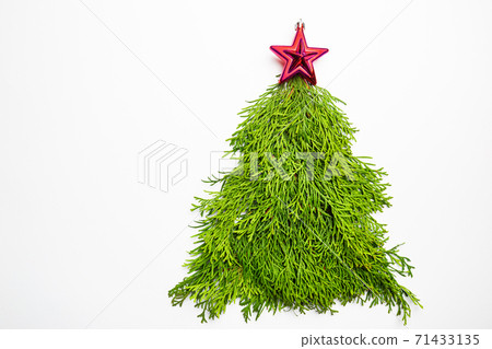 Christmas Tree of thuja branches Christmas Tree of thuja branches 71433135