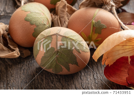 Easter eggs with fresh herbs attached to them, ready to be dyed with onion peels 71433951