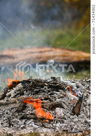 Coals of a campfire in the forest closeup Coals of a campfire in the forest closeup 71434902