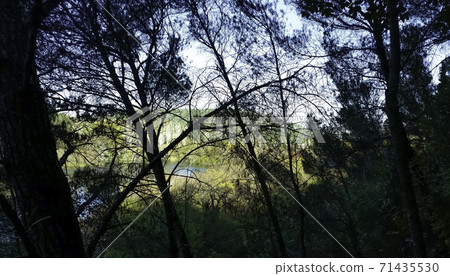 Croatian nature - forest, lakes, waterfalls in Krka National Park Croatian nature - forest, lakes, waterfalls in Krka National Park 71435530