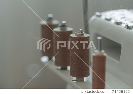 Light brown sewing thread in a row 71436103