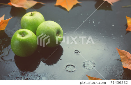 Green apples and oak leaves on a dark background, toned image Green apples and oak leaves on a dark background, toned image 71436282
