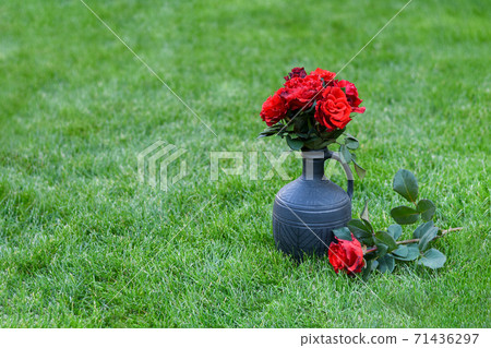 Red flower bouquet in a clay vase on a green lawn. Red roses on a background of green grass. Copy space. Green grass background. Red flower bouquet in a clay vase on a green lawn. Red roses on a background of green grass. Copy space. Green grass background. 71436297