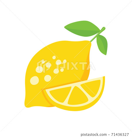 vector lemon on white background 71436327