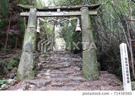 Inasa Shrine Inasa Shrine Hizen Torii Inasa Shrine Inasa Shrine Hizen Torii 71436560