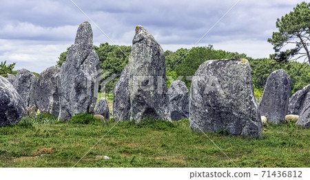 Carnac stones in Carnac, France Carnac stones in Carnac, France 71436812