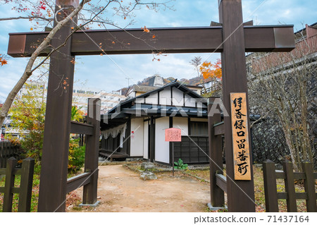 井保保 井保保 71437164