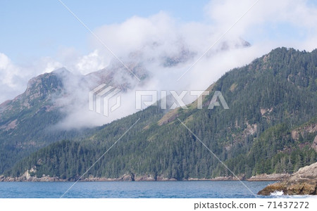 Kenai Fjords National Park, USA Kenai Fjords National Park, USA 71437272