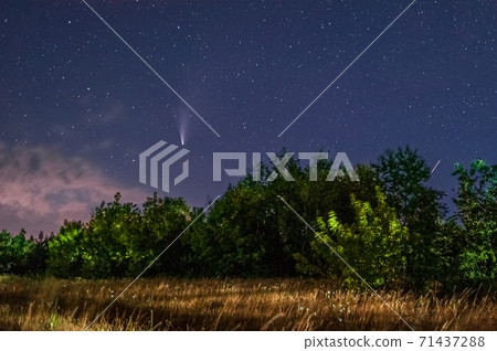 Comet Neowise in the night sky with stars over trees and a field Comet Neowise in the night sky with stars over trees and a field 71437288