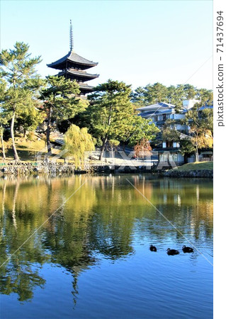 從猿澤池看的五福塔 71437694