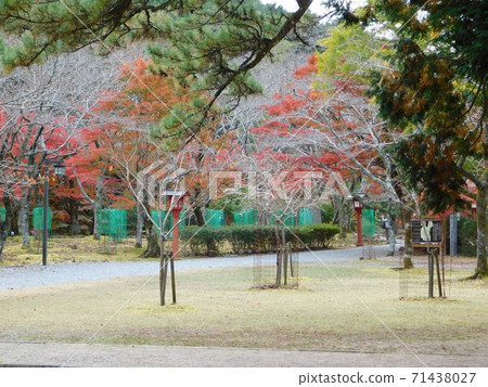 Garden in front of the gate of Taineiji Temple 71438027