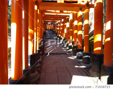 Fushimi Inari shrine Torii Torii 71438725
