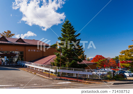 Yamanashi Prefecture Autumn Leaves Season Yamanakako Village Forest Station 71438752