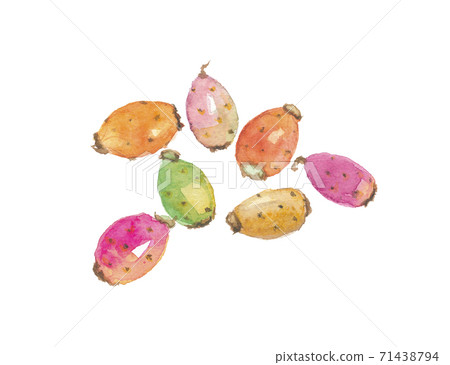 Prickly pear cactus 71438794