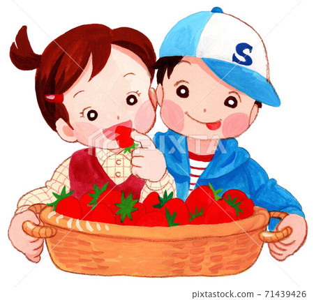 孩子們吃草莓草莓採摘籃 孩子們吃草莓草莓採摘籃 71439426