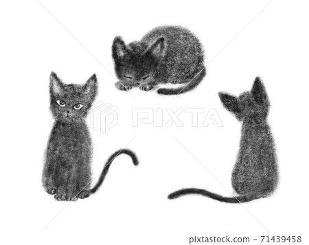 Illustration black cat Illustration black cat 71439458