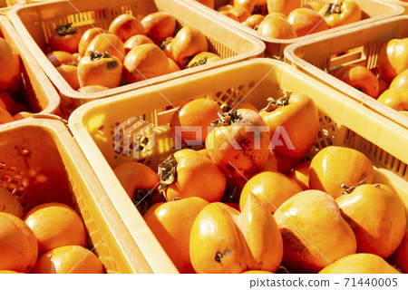 Yamanashi's delicious dead dew persimmon Yamanashi's delicious dead dew persimmon 71440005