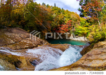 在秋田縣水壩湖沉沒的絕妙景色 在秋田縣水壩湖沉沒的絕妙景色 71440009