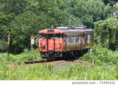 本地線紅色柴油車 71440102