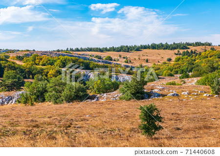 Autumn steppe landscape on a mountain plateau with low trees. Autumn steppe landscape on a mountain plateau with low trees. 71440608