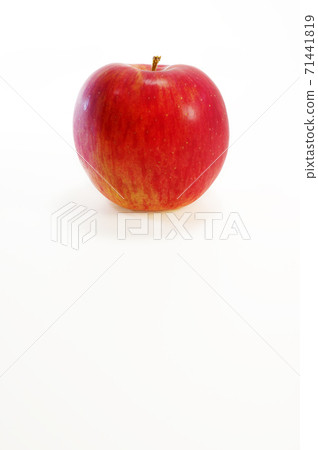 Apple Apple 71441819