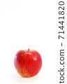 Apple Apple 71441820