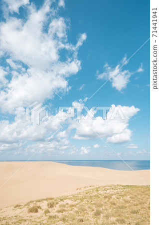 Tottori sand dunes 71441941
