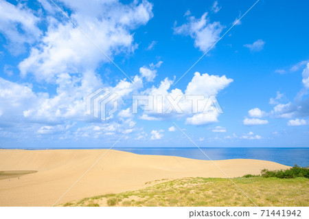 Tottori sand dunes Tottori sand dunes 71441942