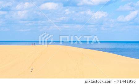 Tottori sand dunes Tottori sand dunes 71441956