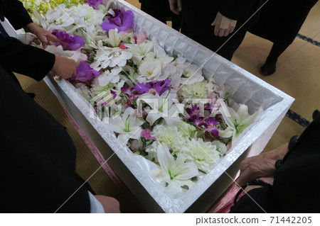 花禮 花禮 71442205