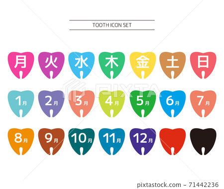 Tooth vector illustration set icon calendar Tooth vector illustration set icon calendar 71442236