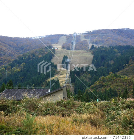 Hakkaisan Ropeway Autumn Leaves Hakkaisan Ropeway Autumn Leaves 71442355