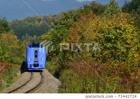 Limited express train climbing the autumnal Shiokari Pass Limited express train climbing the autumnal Shiokari Pass 71442724