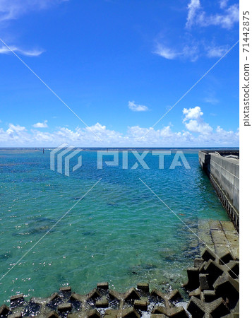 石垣市海岸 石垣市海岸 71442875