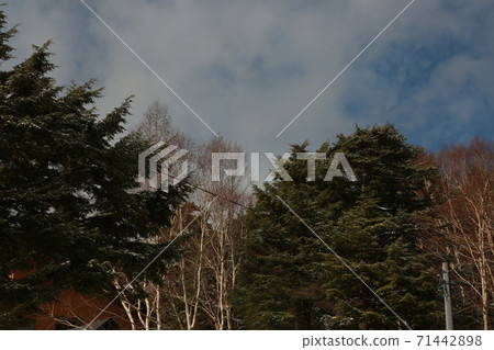 萬座溫泉從雪到晴天 71442898