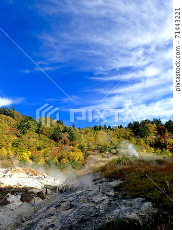 An autumnal dandruff hot spring with a bath An autumnal dandruff hot spring with a bath 71443221