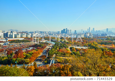 Sangam-dong World Cup Park autumn foliage and scenery Sangam-dong World Cup Park autumn foliage and scenery 71443329